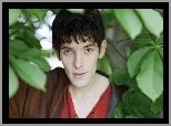 Colin Morgan, Aktor, Przygody Merlina, Serial, The Adventures of Merlin